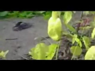 দেশী লোকটা চোদা মেয়ে মধ্যে fields